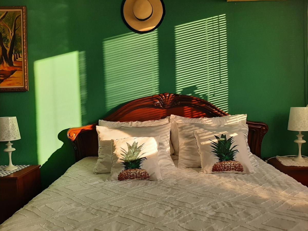 Cosy Central Apartment Shkoder Ngoại thất bức ảnh